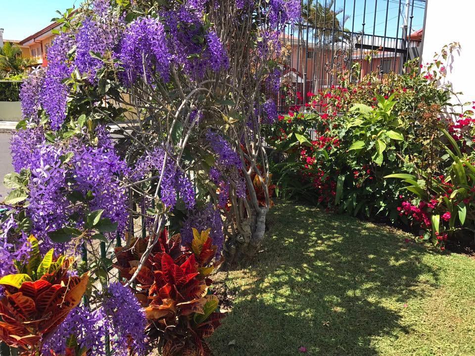 Casa Kibi Kibi Otel San José Dış mekan fotoğraf